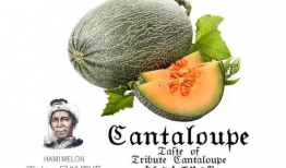 乌拉吃瓜爆料是真的吗,真相揭秘，是真是假？